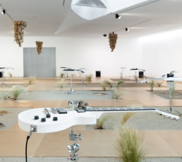 Dois pássaros pousados numa guitarra elétrica branca integrada numa instalação artística com instrumentos musicais e relva num espaço expositivo.